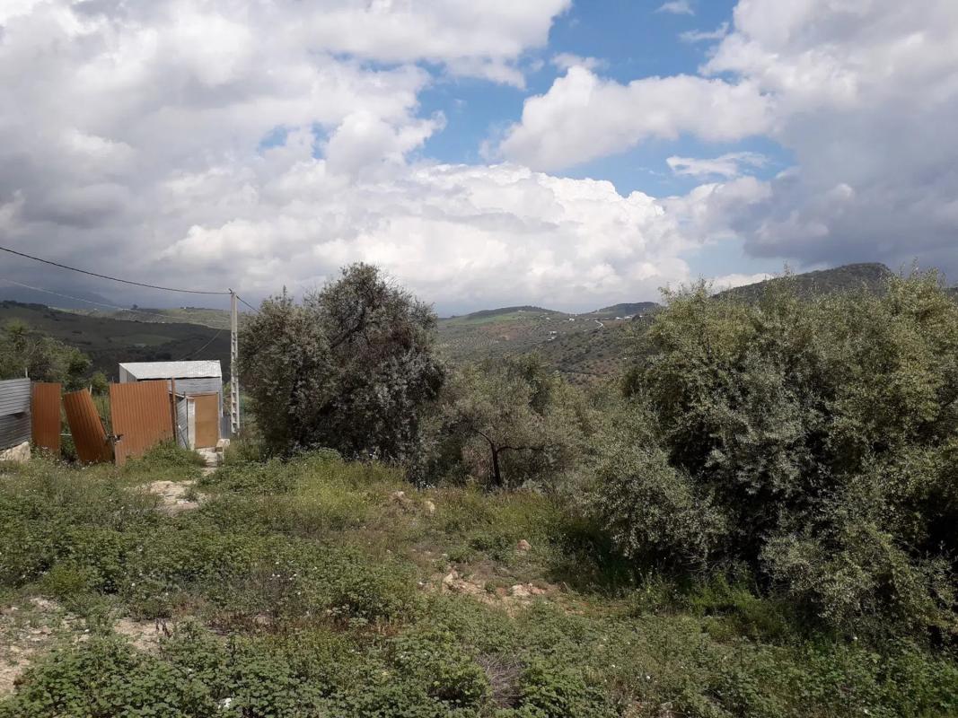 Terreno en venta en Cutar, Malaga photo 4
