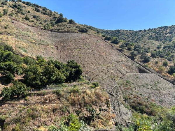 Terreno en carril de la Charata, km 1 photo 1