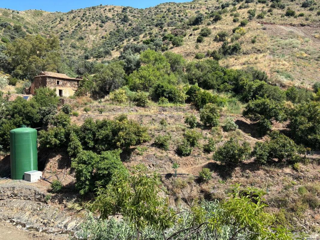 Land for sale in El Borge, Malaga photo 2