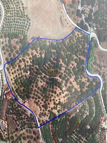 Terreno en Frigiliana photo