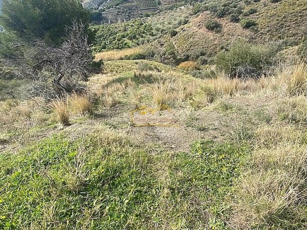 Działka na sprzedaż w Frigiliana, Malaga photo 4