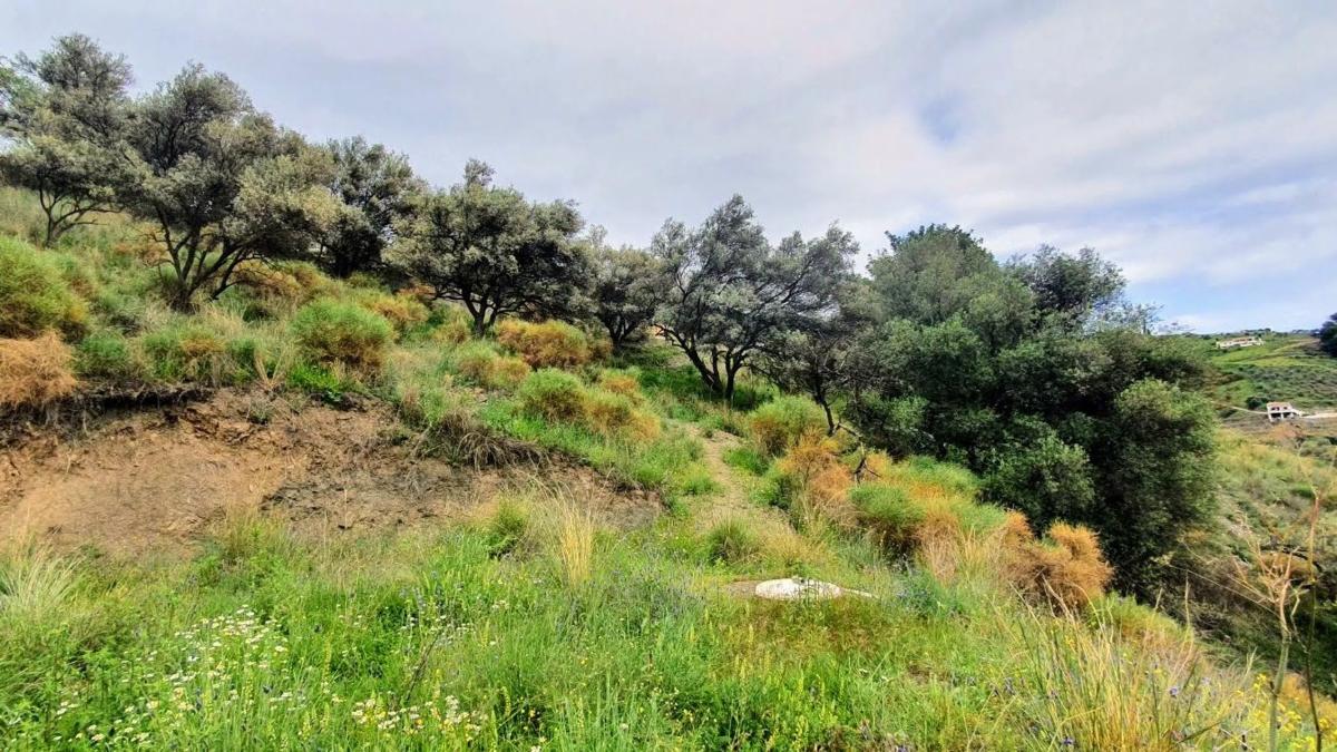 Terreno en venta en Frigiliana, Malaga photo 1