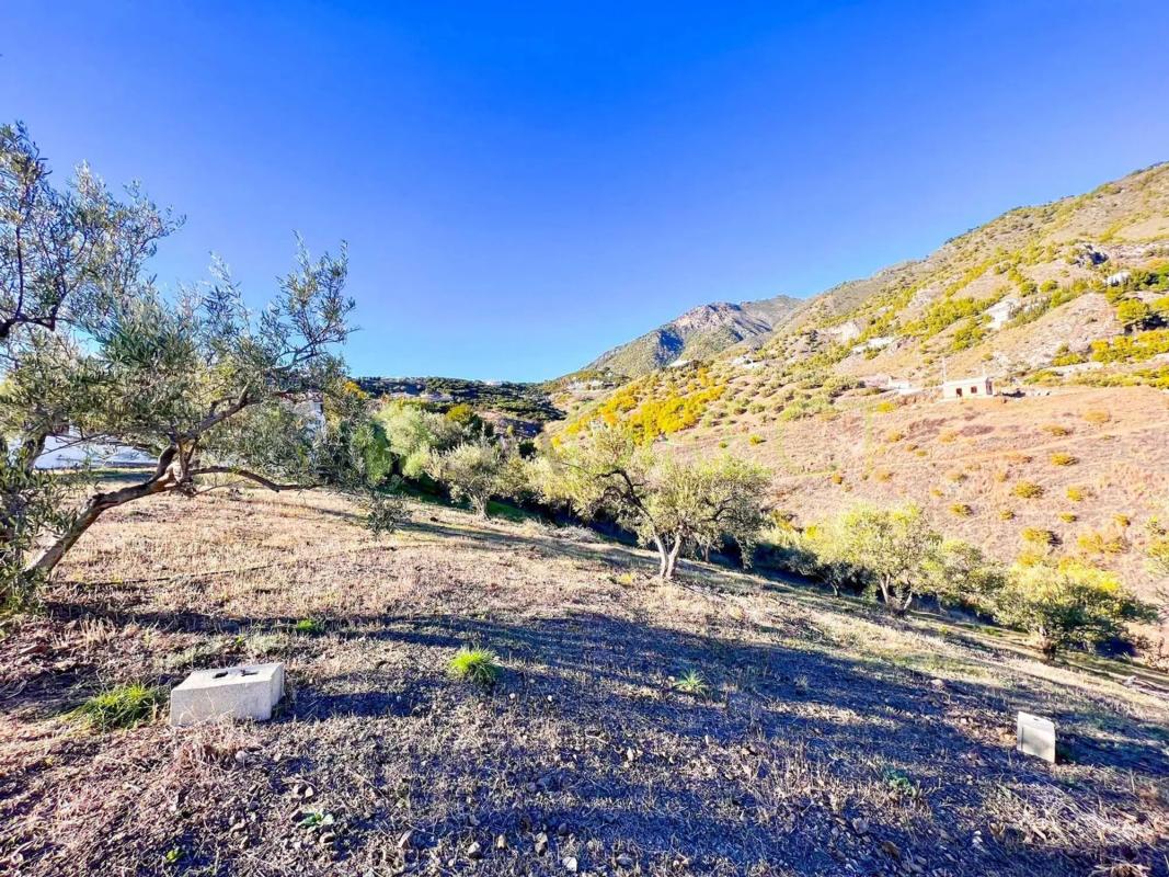 Terreno en venta en Frigiliana, Malaga photo 2
