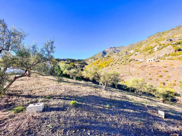 Terreno en Frigiliana photo 2