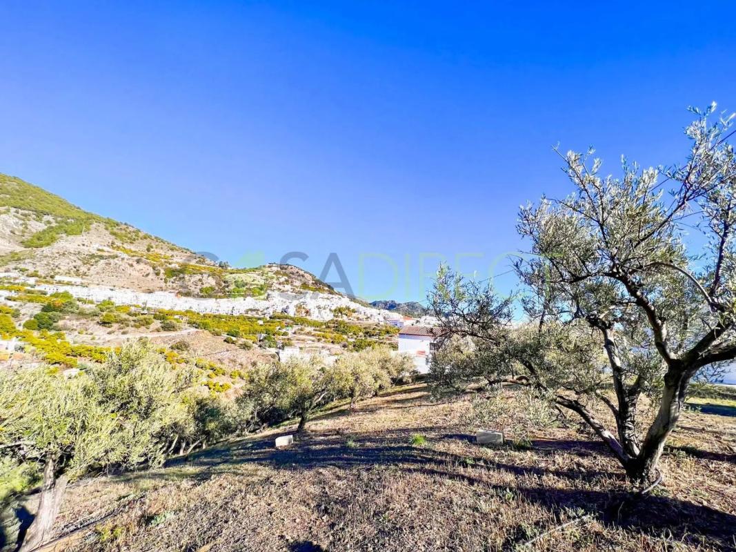 Terreno en venta en Frigiliana, Malaga photo 3