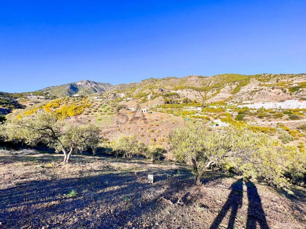 Terreno en venta en Frigiliana, Malaga photo 4