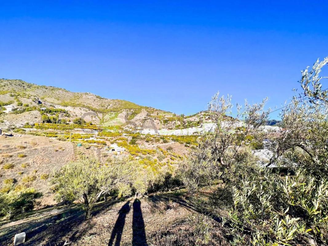 Terreno en venta en Frigiliana, Malaga photo 5