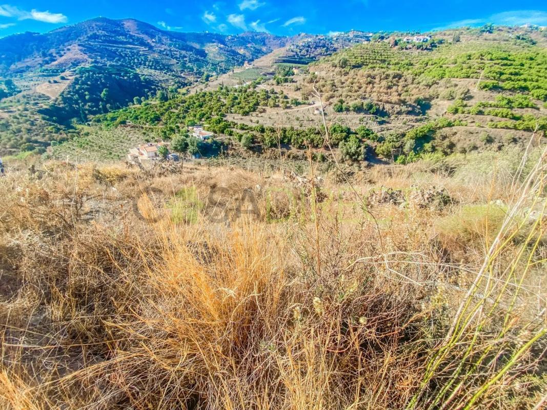 Terreno en venta en Frigiliana, Malaga photo 1
