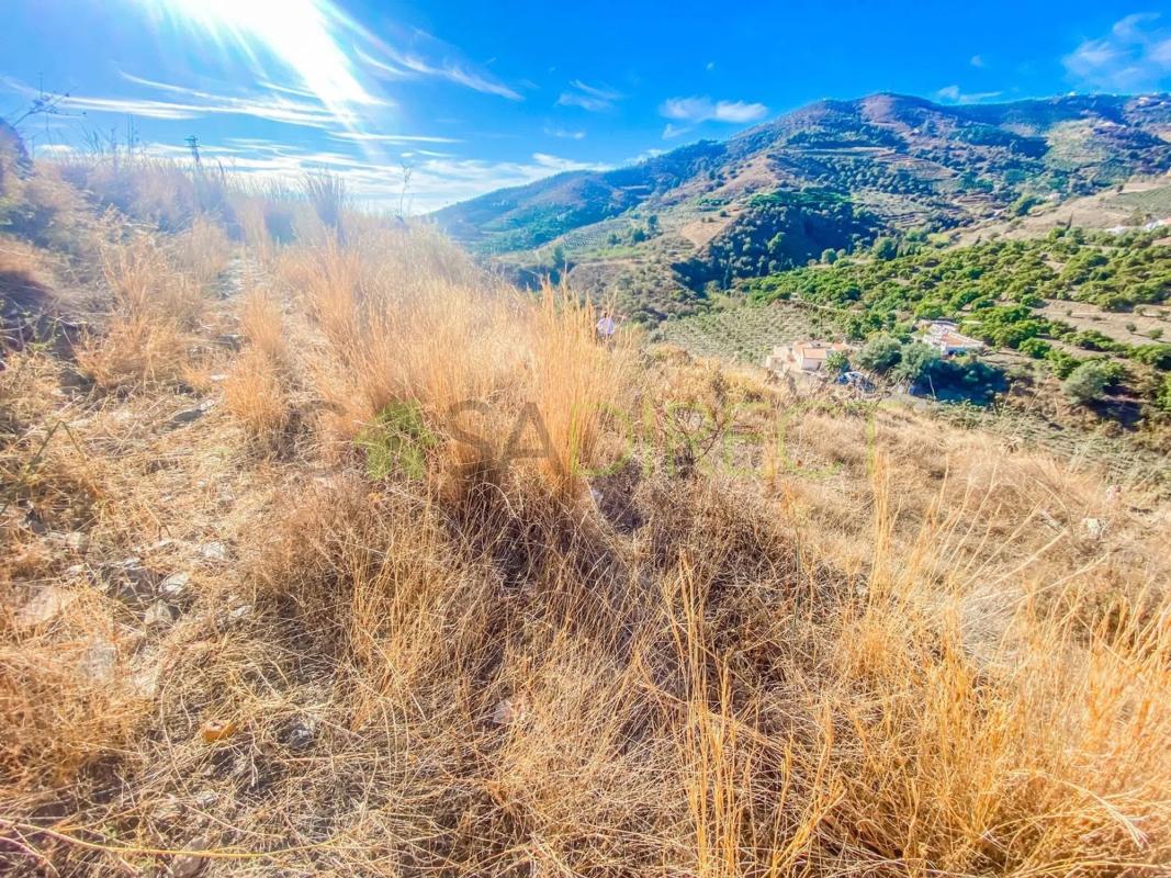 Terreno en venta en Frigiliana, Malaga photo 4