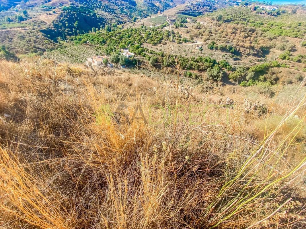 Terreno en venta en Frigiliana, Malaga photo 5