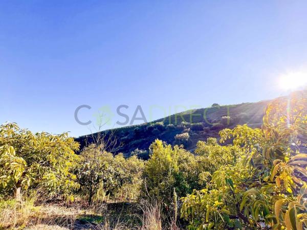 Terreno en Frigiliana photo 1