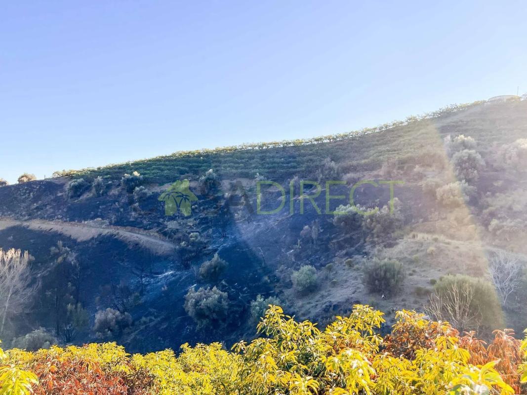 Terreno en venta en Frigiliana, Malaga photo 3