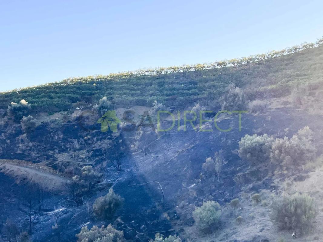 Terreno en venta en Frigiliana, Malaga photo 4