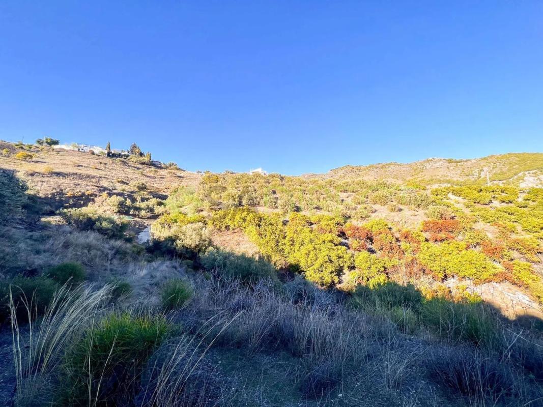 Terreno en venta en Frigiliana, Malaga photo 5
