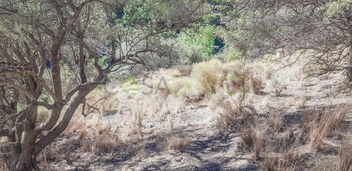 Terreno en venta en Frigiliana, Malaga photo 3