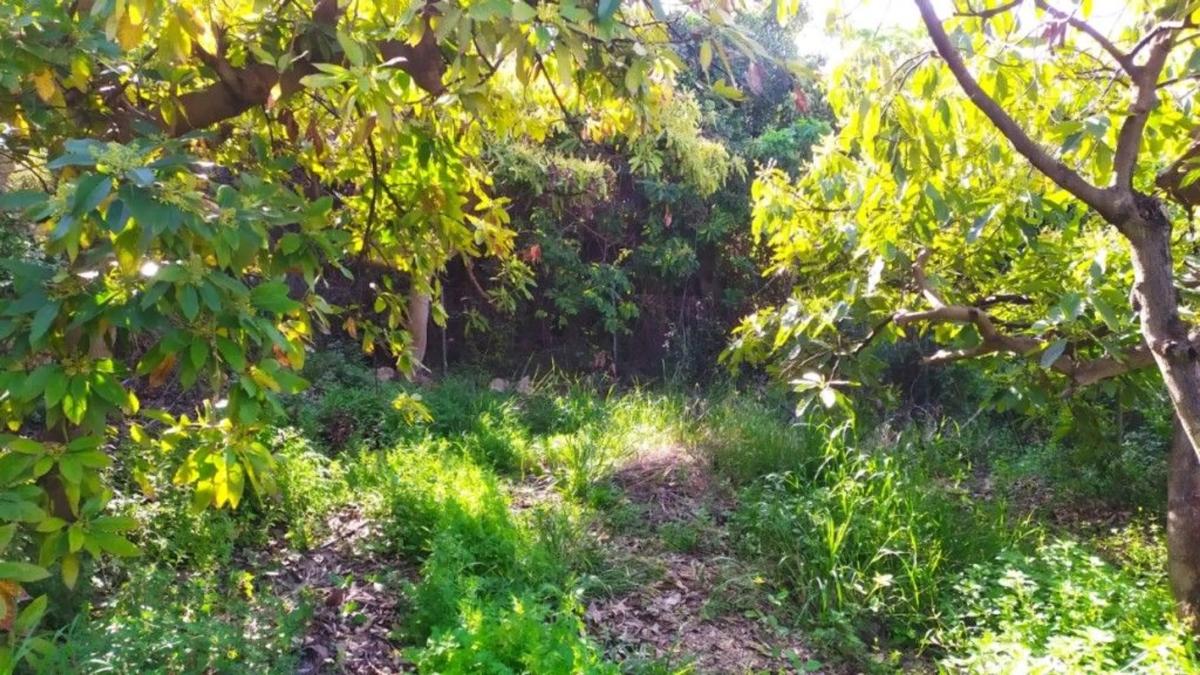Terreno en venta en Frigiliana, Malaga photo 1
