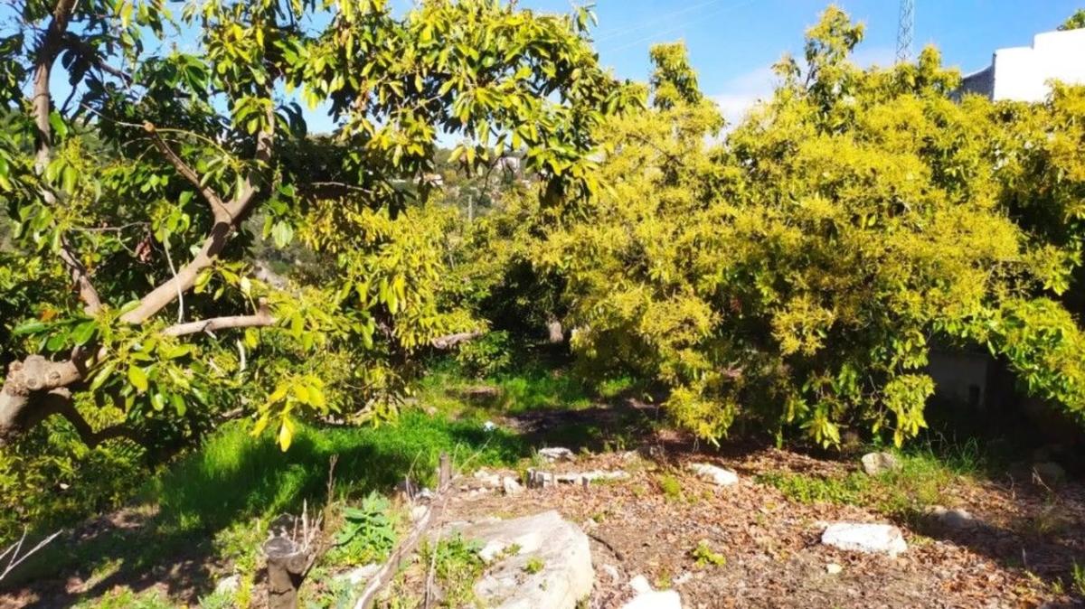 Terreno en venta en Frigiliana, Malaga photo 3