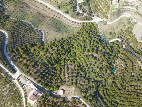 Terreno en Frigiliana photo 1
