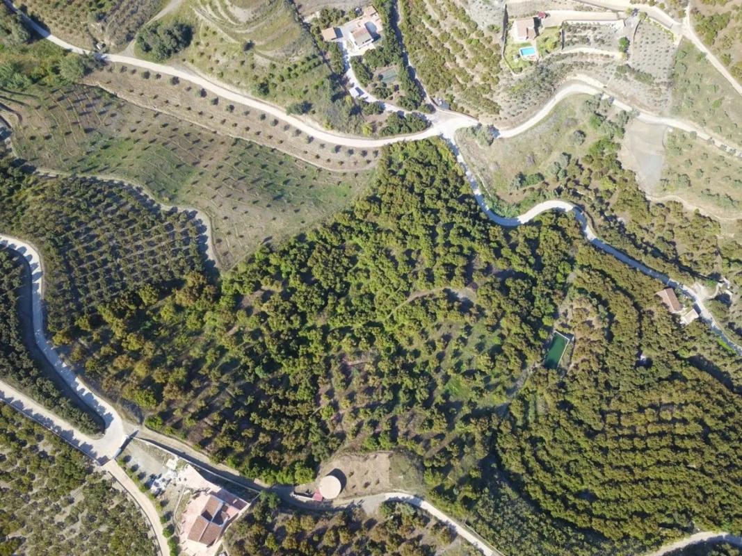 Terreno en venta en Frigiliana, Malaga photo 3