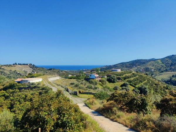 Terreno en Frigiliana photo 4