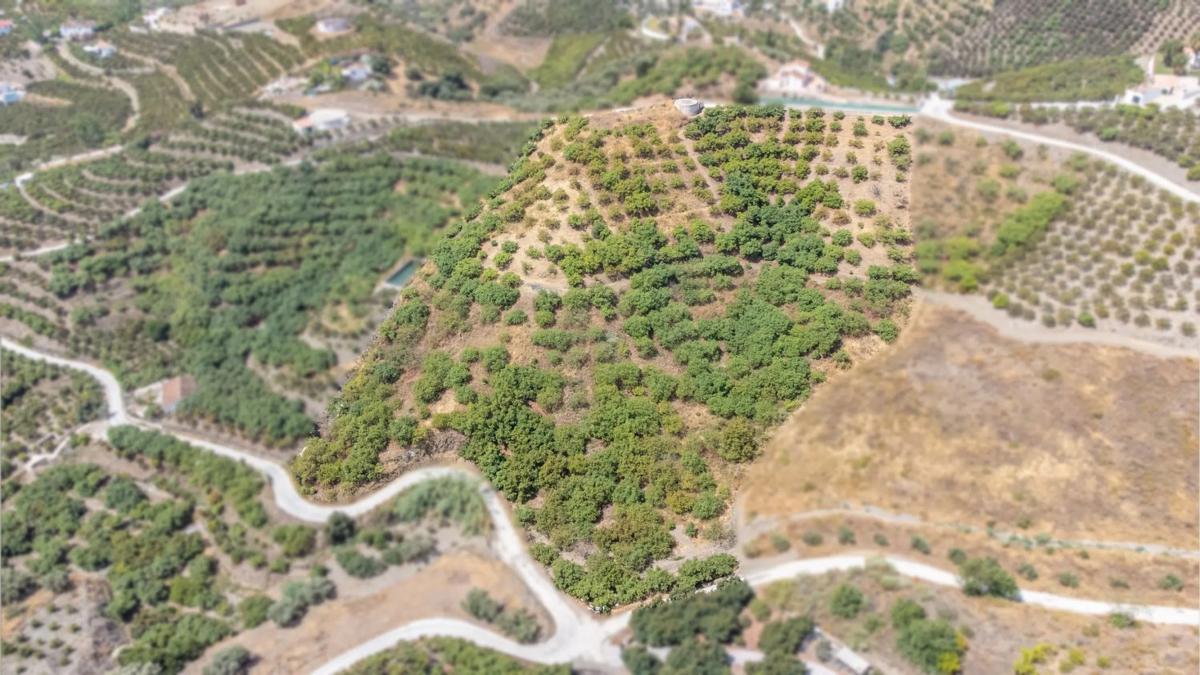 Terreno en venta en Frigiliana, Malaga photo 2