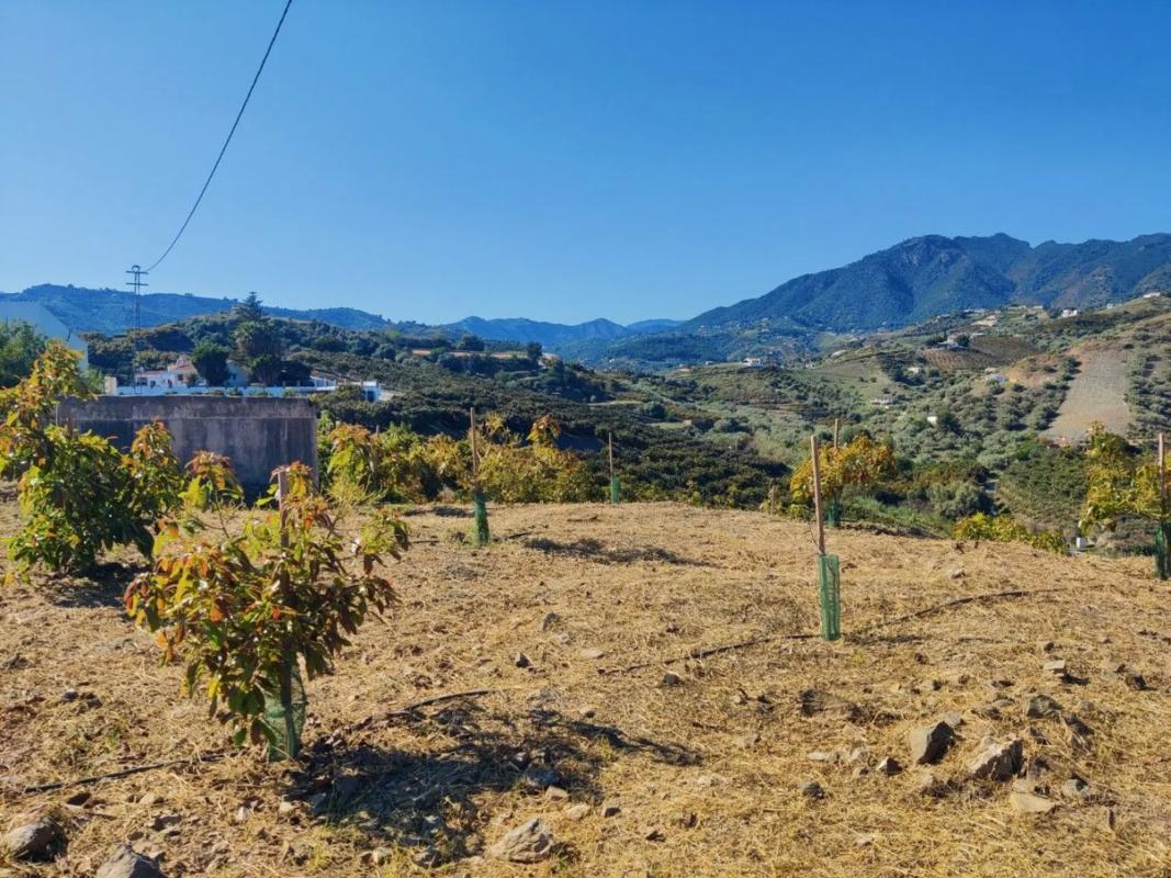 Terreno en venta en Frigiliana, Malaga photo 5