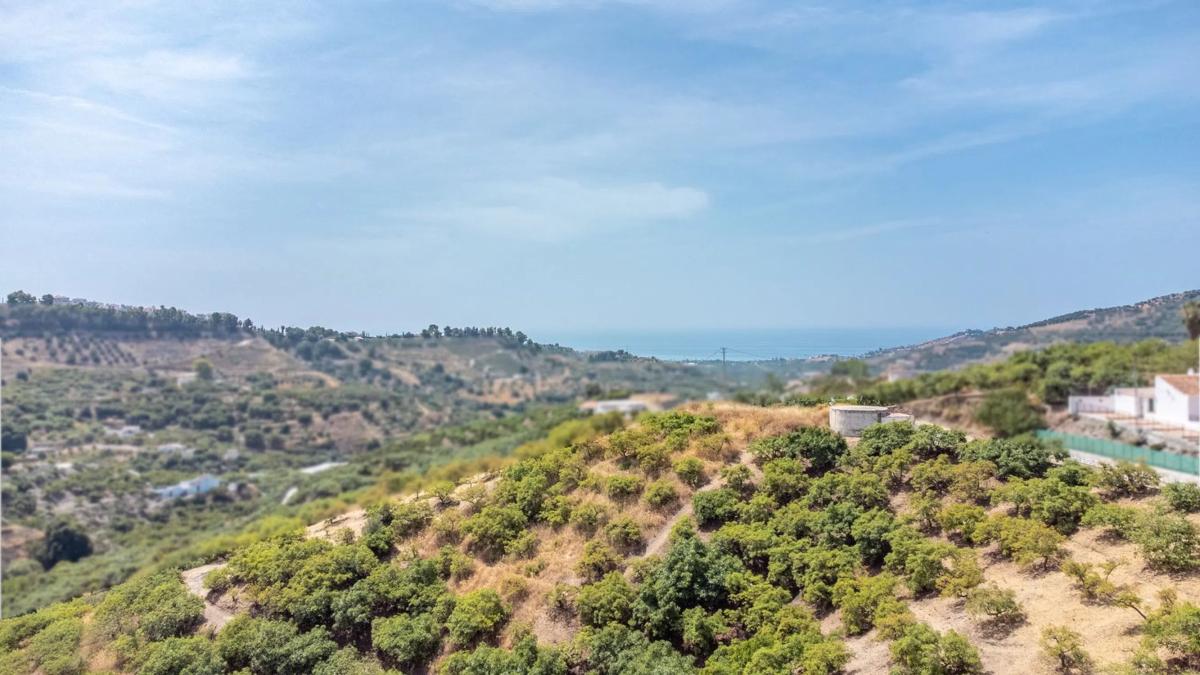 Terreno en venta en Frigiliana, Malaga photo 3