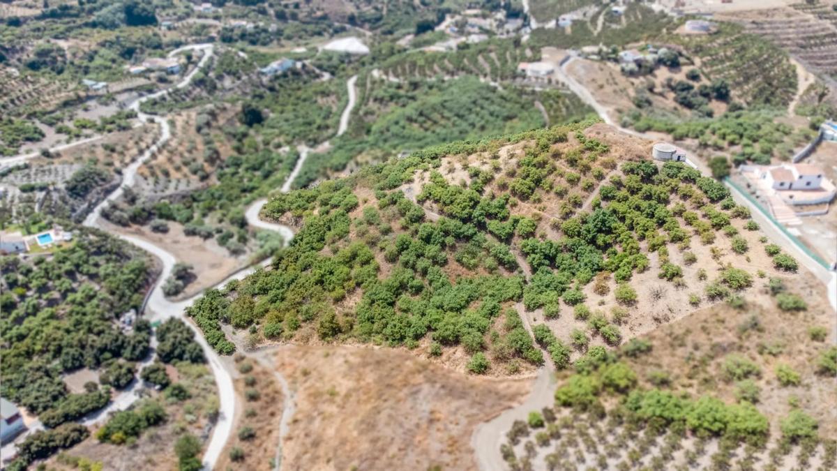 Terreno en venta en Frigiliana, Malaga photo 5
