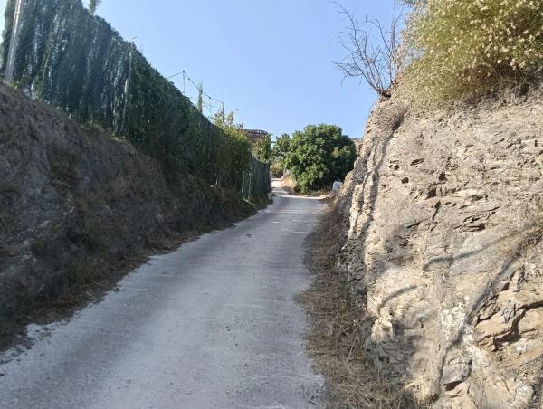 Terreno en Pago la quinta, 7 ,parcela 250 thumbnail 2