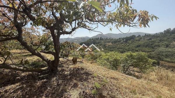 Terreno en Frigiliana photo 1