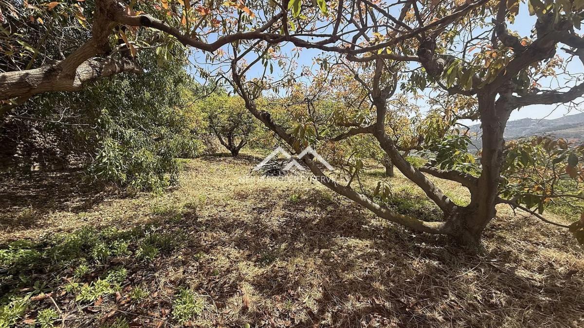 Terreno en venta en Frigiliana, Malaga photo 2