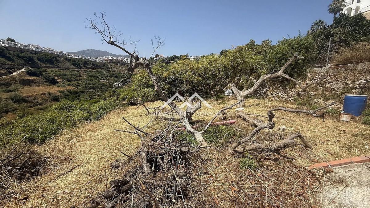 Terreno en venta en Frigiliana, Malaga photo 5