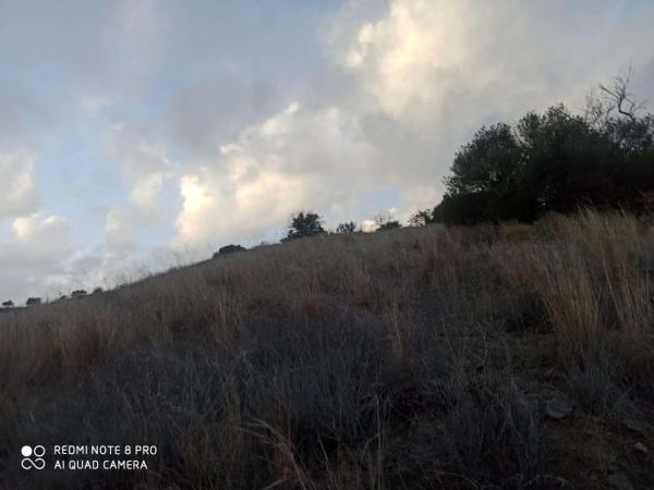 Terreno en Iznate photo 2