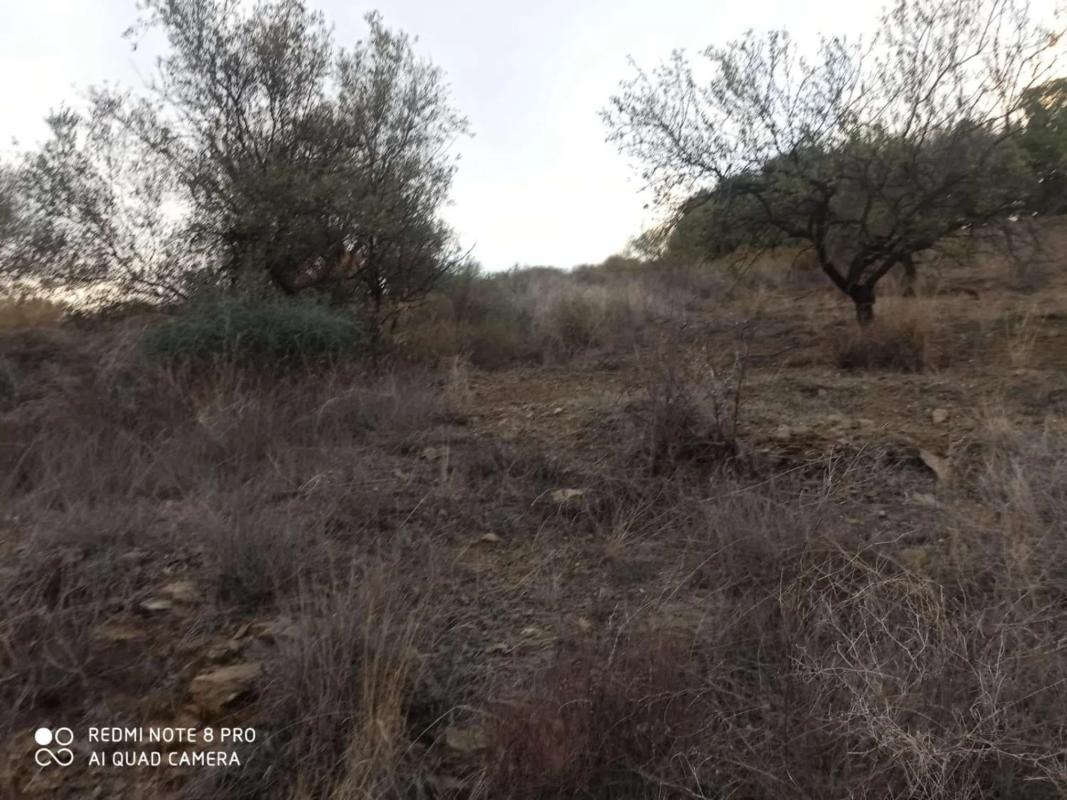 Land for sale in Iznate, Malaga photo 3