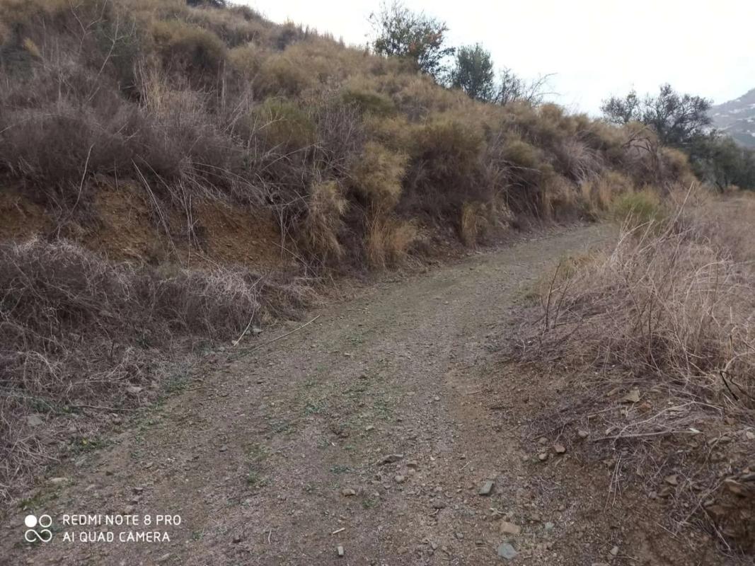 Land for sale in Iznate, Malaga photo 4