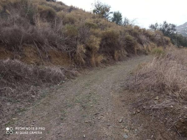 Terreno en Iznate photo 4