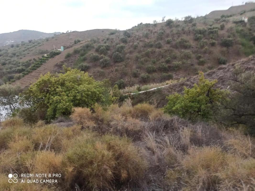 Land for sale in Iznate, Malaga photo 5