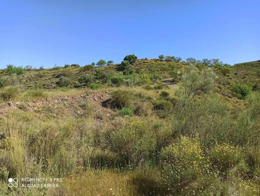 Terreno en venta en Macharaviaya, Malaga photo 1