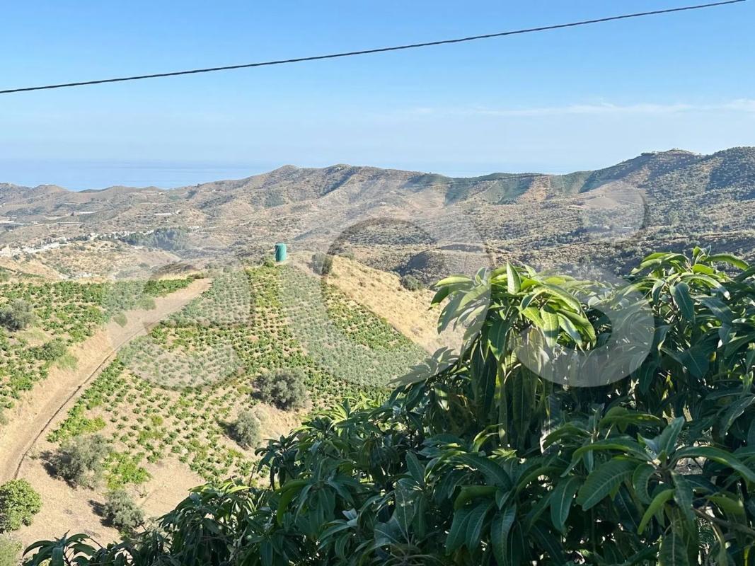 Land for sale in Macharaviaya, Malaga photo 1