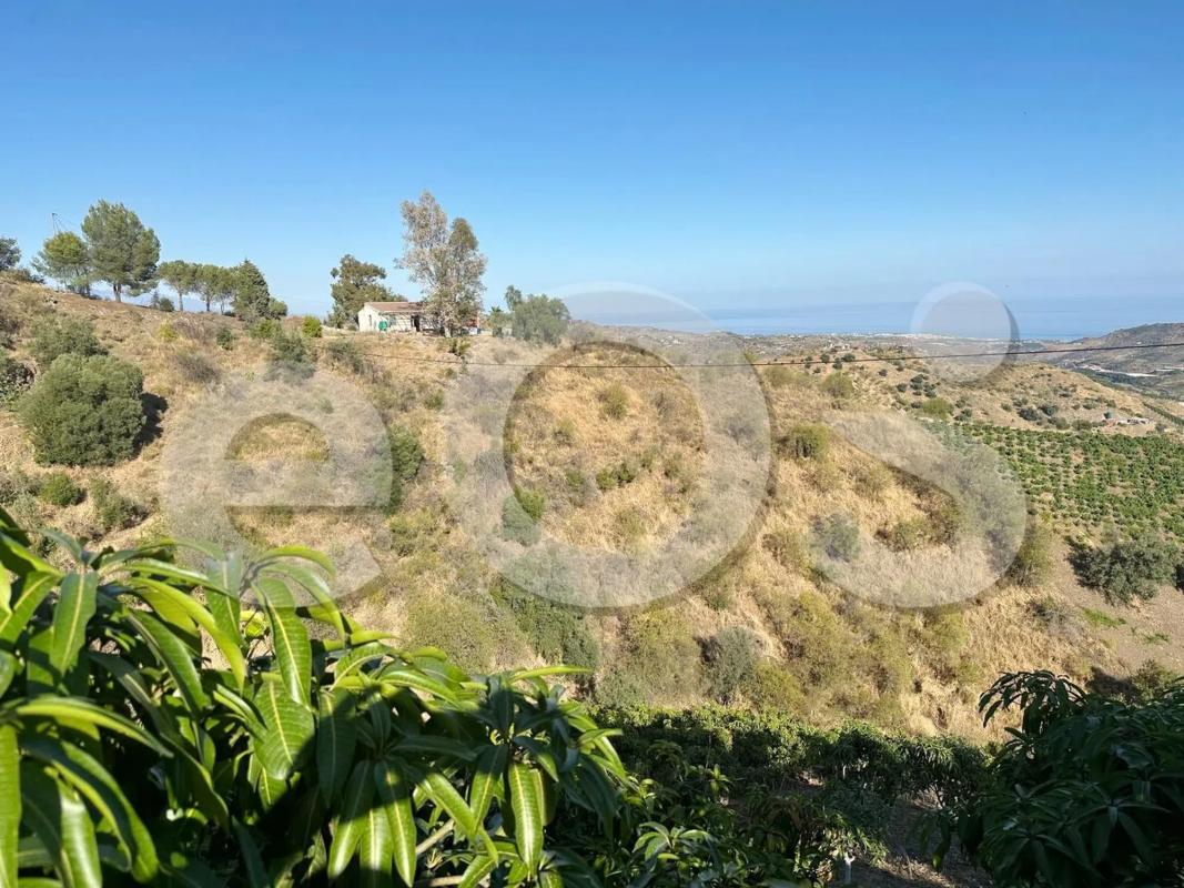 Land for sale in Macharaviaya, Malaga photo 2