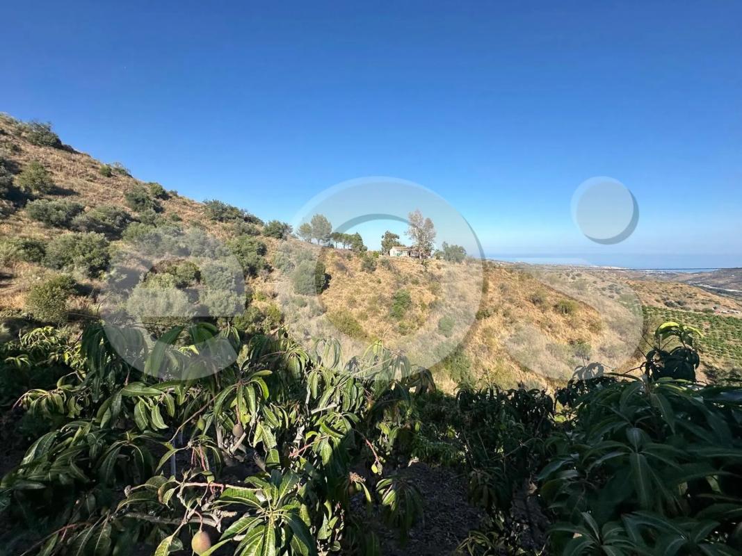 Land for sale in Macharaviaya, Malaga photo 3