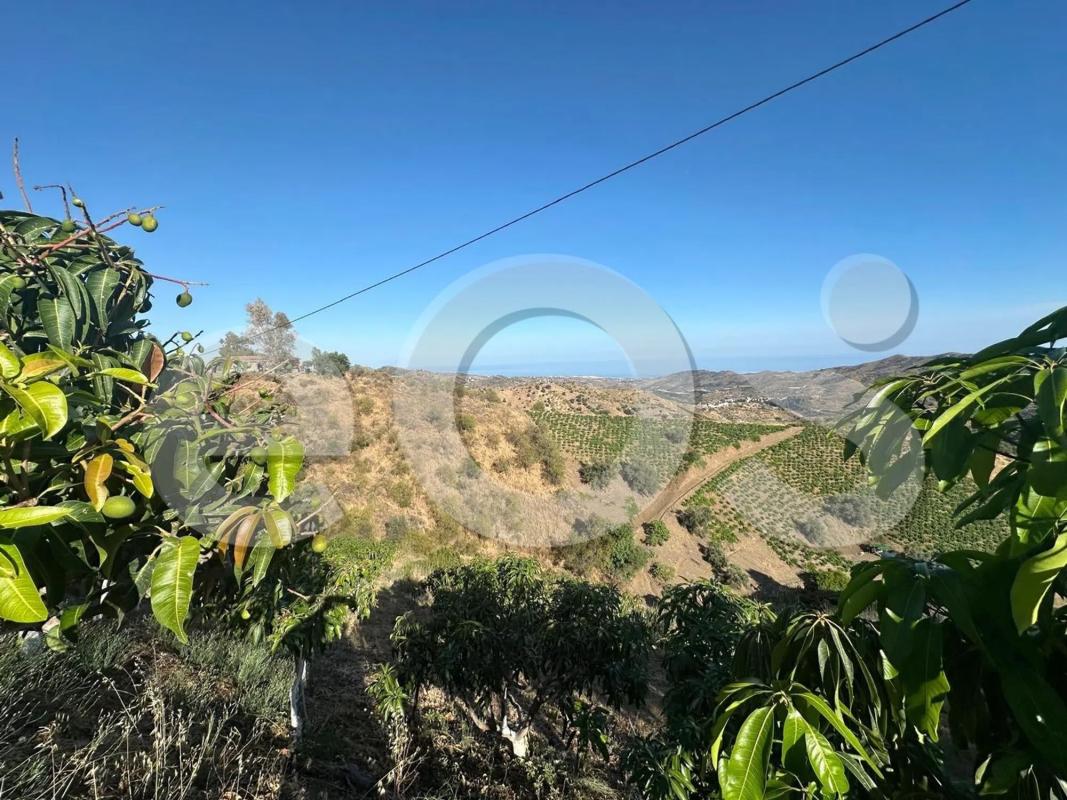 Land for sale in Macharaviaya, Malaga photo 4