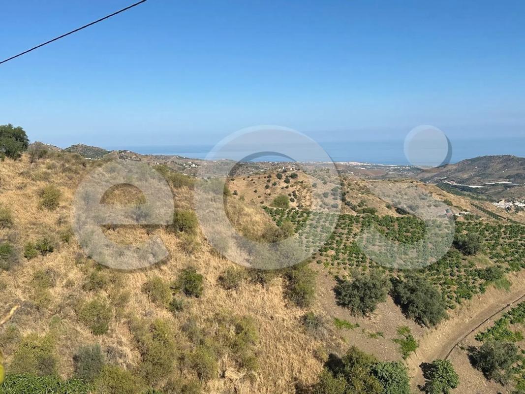 Land for sale in Macharaviaya, Malaga photo 5