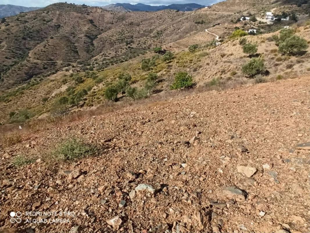 Terreno en venta en Moclinejo, Malaga photo 1