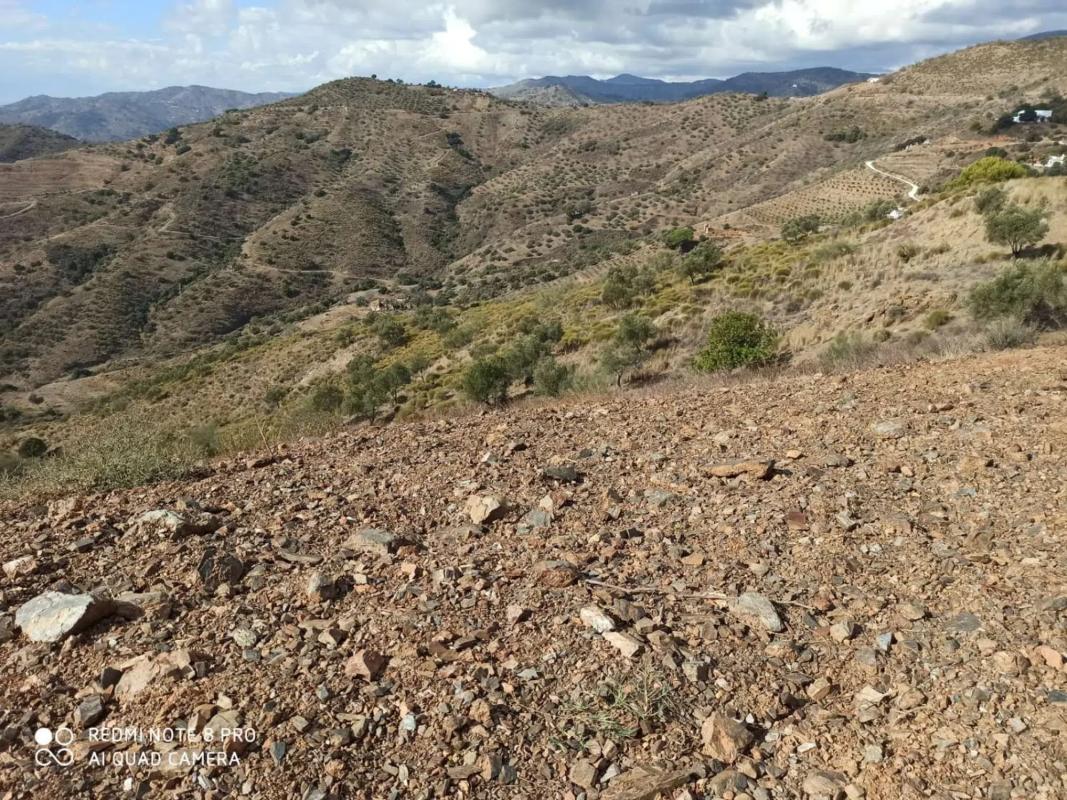 Terreno en venta en Moclinejo, Malaga photo 4