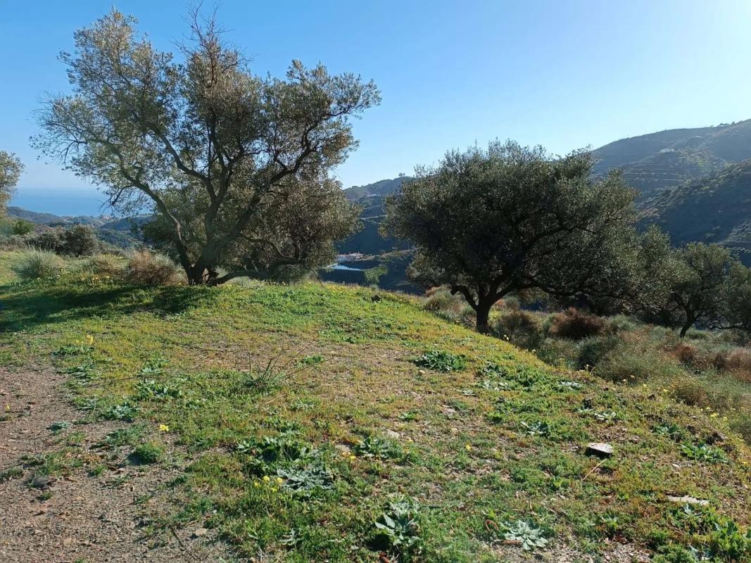 Land for sale in Moclinejo, Malaga photo 1