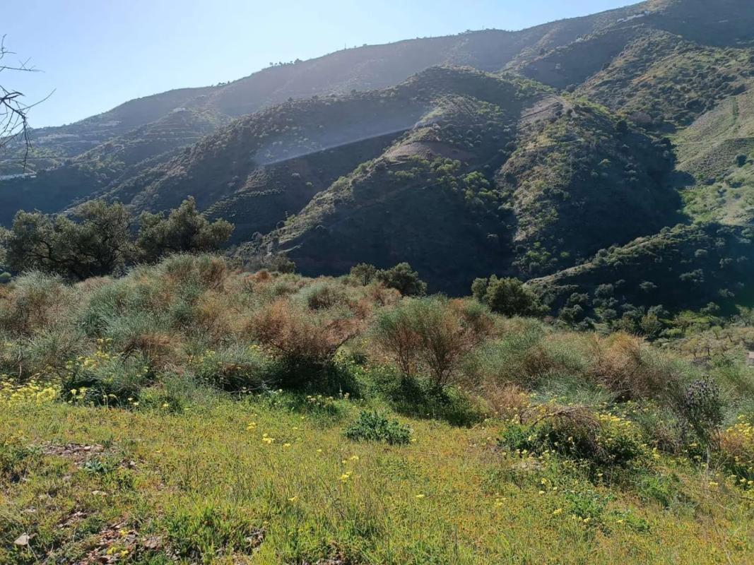 Land for sale in Moclinejo, Malaga photo 4