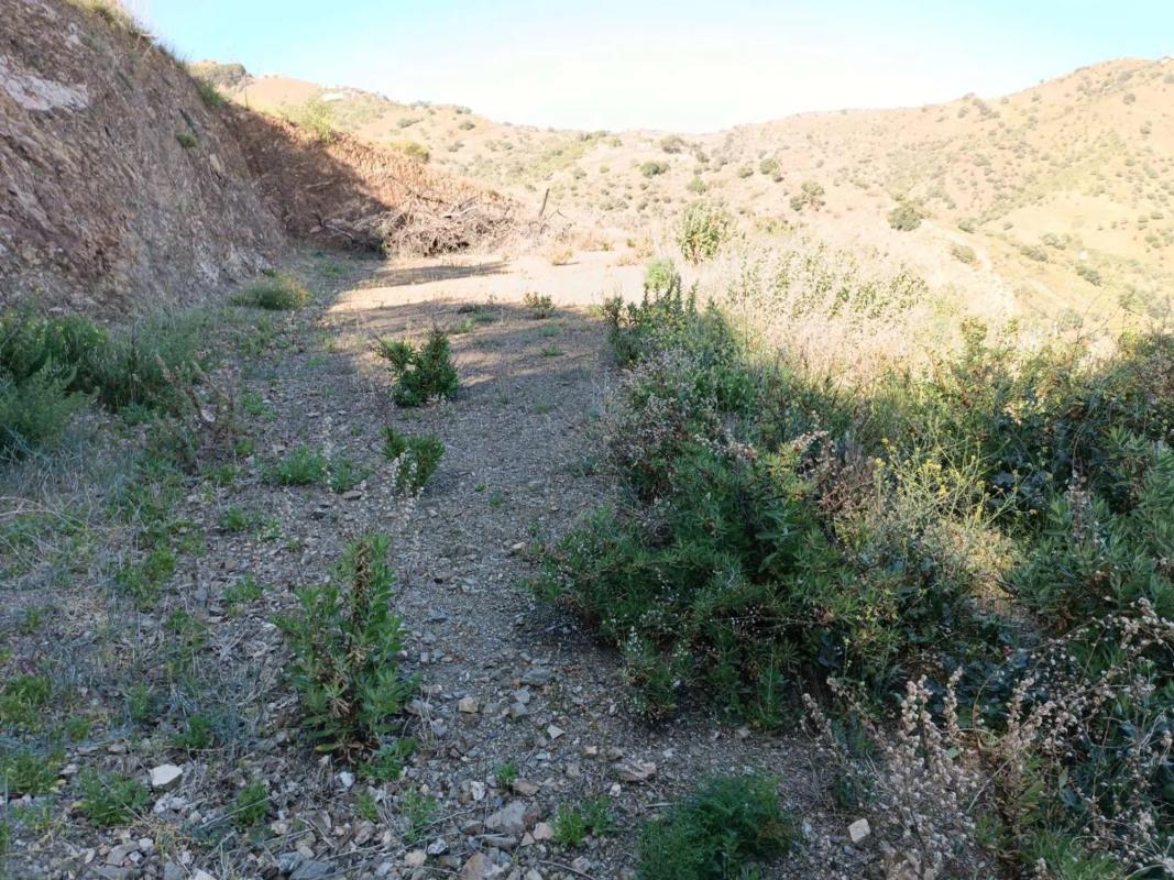 Land for sale in Moclinejo, Malaga photo 2