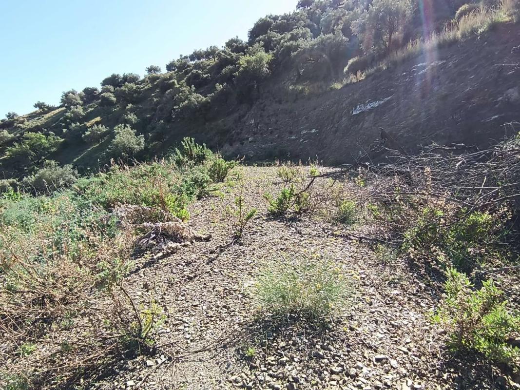 Land for sale in Moclinejo, Malaga photo 3