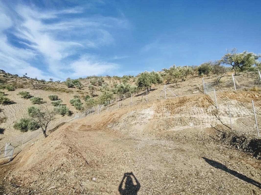 Land for sale in Moclinejo, Malaga photo 2